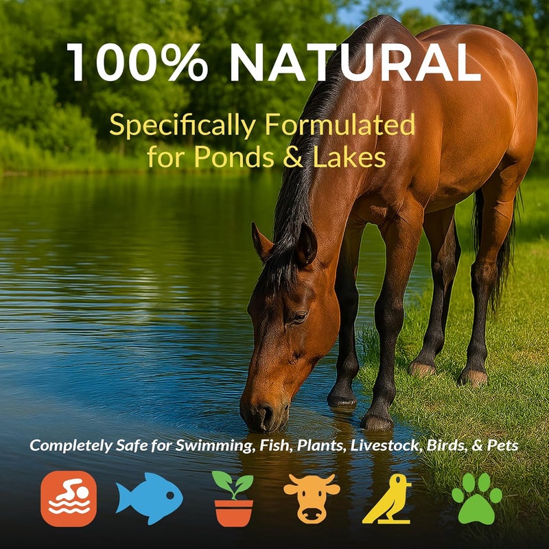 ACTICLEAR Muck Clear - 5LB Beneficial Bacteria for Ponds & Lake, Boost Enzymes, Sludge Odor Away, Outdoor Fish Pond Water Clarifier, Safe for Aquatic Life, Treats Up to 30,000 Sq Ft - Image 4